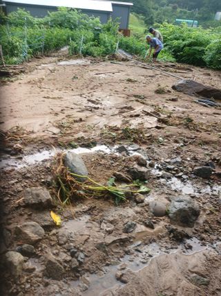 유경규 님의 기타작물 · 영농일지 작성글 사진