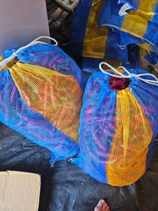 백호순(후추)님의 고추 · 영농일지 작성글 사진