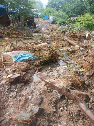 유경규 님의 기타작물 · 영농일지 작성글 사진