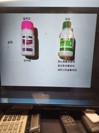 두릅나무6735님의 기타작물 · 영농일지 작성글 사진