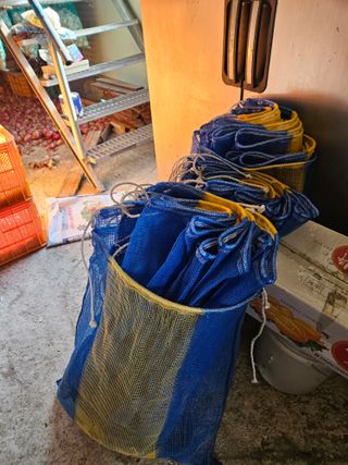 백호순(후추)님의 고추 · 영농일지 작성글 사진