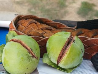 제키님의 감 · 영농일지 작성글 사진