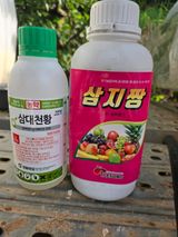 팜모닝 복숭아·영농일지 게시글 이미지