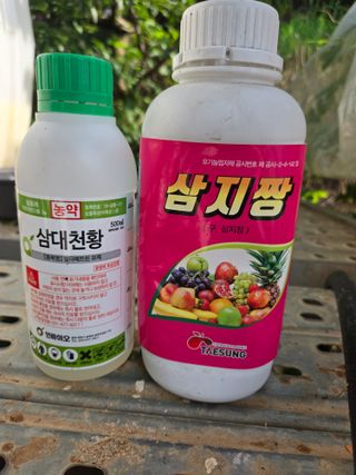 진곡댁님의 복숭아 · 영농일지 작성글 사진