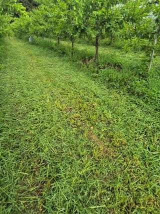 강기명님의 기타작물 · 영농일지 작성글 사진