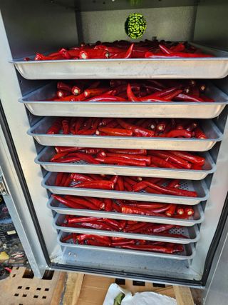 연모 자연의행복님의 고추 · 영농일지 작성글 사진