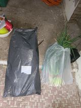 팜모닝 파·영농일지 게시글 이미지