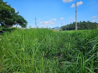 보리수치유농장님의 기타작물 · 영농일지 작성글 사진