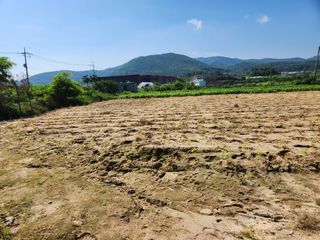 박진한님의 배 · 영농일지 작성글 사진