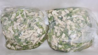 김지연님의 기타작물 · 영농일지 작성글 사진