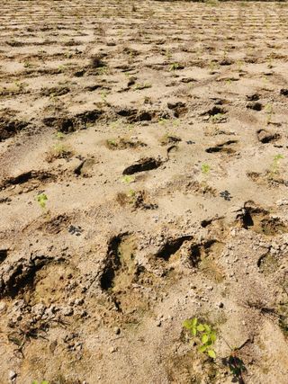 박진한님의 배 · 영농일지 작성글 사진