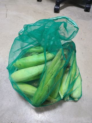 김지연님의 토마토 · 영농일지 작성글 사진