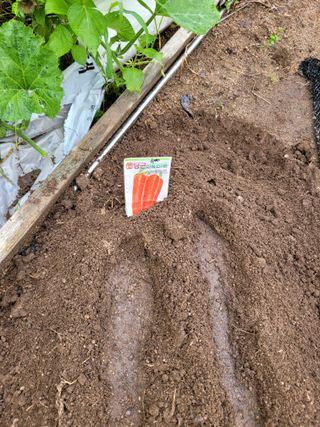 김영규님의 배추 · 영농일지 작성글 사진