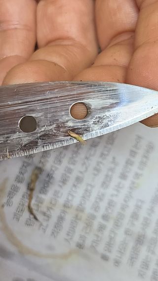 김지연님의 파 · 영농일지 작성글 사진