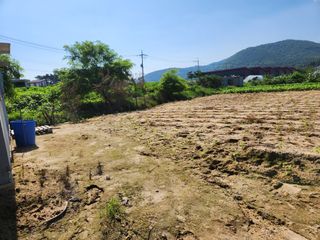 박진한님의 배 · 영농일지 작성글 사진