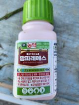 팜모닝 배·영농일지 게시글 이미지