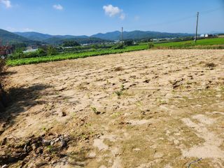 박진한님의 배 · 영농일지 작성글 사진