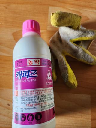 박진한님의 사과 · 영농일지 작성글 사진