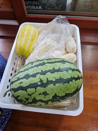 김인수님의 옥수수 · 영농일지 작성글 사진