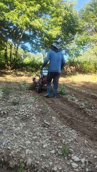 장흥 모경화 님의 기타작물 · 영농일지 작성글 사진