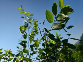 공주유구 구계박만호님의 기타작물 · 영농일지 작성글 사진