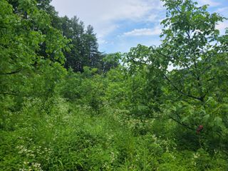 무주설천면 반딧팝님의 기타작물 · 영농일지 작성글 사진