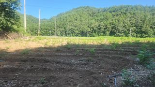 장흥 모경화 님의 기타작물 · 영농일지 작성글 사진