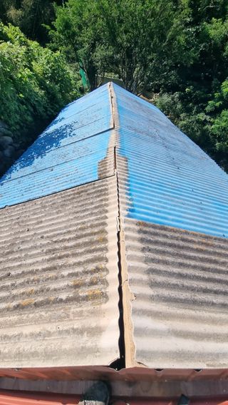 촌사리님의 기타작물 · 영농일지 작성글 사진