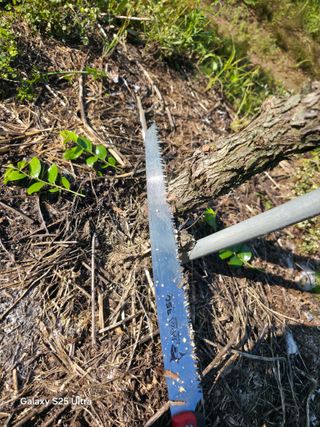 공주유구 구계박만호님의 기타작물 · 영농일지 작성글 사진