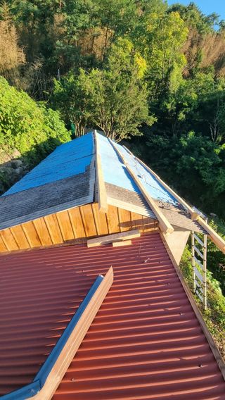 촌사리님의 기타작물 · 영농일지 작성글 사진