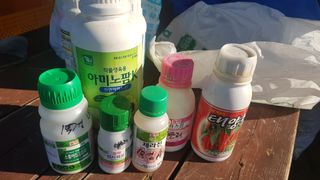 최춘득 청대산 님의 고추 · 영농일지 작성글 사진