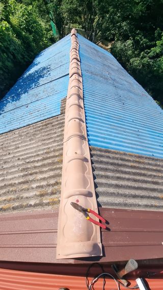 촌사리님의 기타작물 · 영농일지 작성글 사진