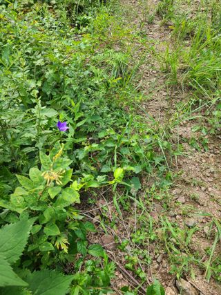 무주설천면 반딧팝님의 기타작물 · 영농일지 작성글 사진