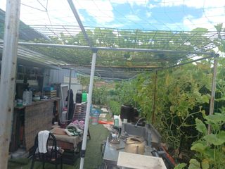 正覺님의 기타작물 · 영농일지 작성글 사진