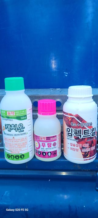 감1613님의 감 · 영농일지 작성글 사진