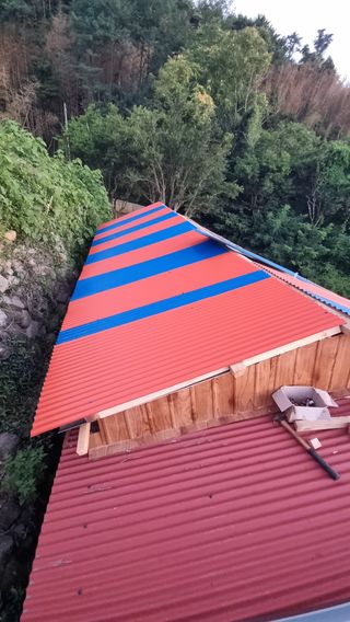 촌사리님의 기타작물 · 영농일지 작성글 사진