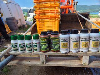 병풍취산채농원님의 기타작물 · 영농일지 작성글 사진