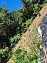 팜모닝 기타작물·영농일지 게시글 이미지