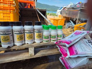 병풍취산채농원님의 기타작물 · 영농일지 작성글 사진