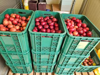 박미라님의 기타작물 · 영농일지 작성글 사진