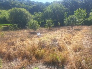 박석중님의 기타작물 · 영농일지 작성글 사진