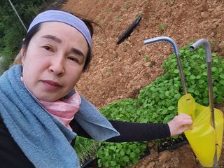 스마일00님의 들깨 · 영농일지 작성글 사진