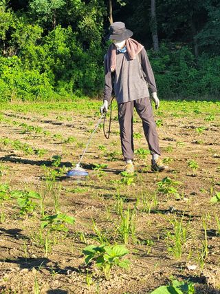 이혜정님의 들깨 · 영농일지 작성글 사진