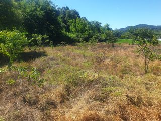 박석중님의 기타작물 · 영농일지 작성글 사진