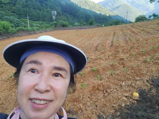 스마일00님의 들깨 · 영농일지 작성글 사진