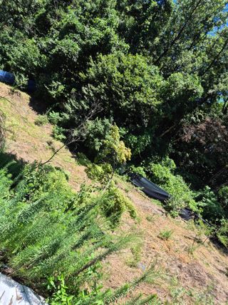 호랑이별님의 기타작물 · 영농일지 작성글 사진