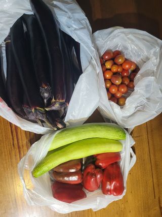 뚜비맘님의 오이 · 영농일지 작성글 사진