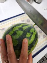 팜모닝 기타작물·영농일지 게시글 이미지