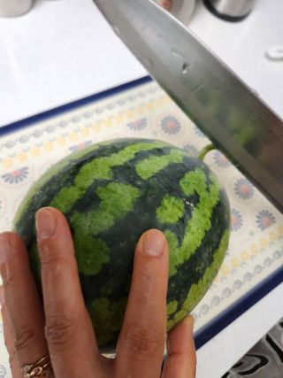 김영옥님의 기타작물 · 영농일지 작성글 사진