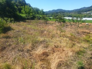 박석중님의 기타작물 · 영농일지 작성글 사진